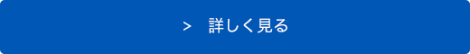 キャンビルネオを詳しく見る