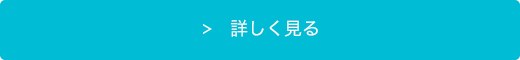 ケアマネくんを詳しく見る